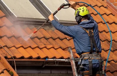 Démoussage et hydrofuge de toiture à Manéglise